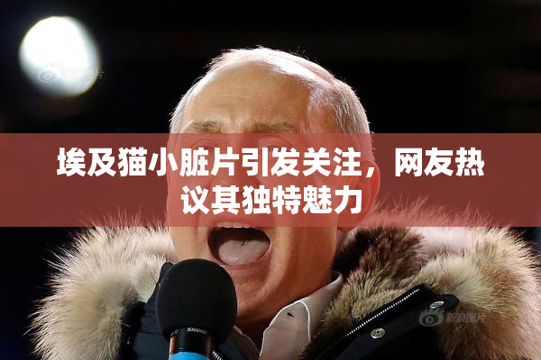埃及猫小脏片引发关注，网友热议其独特魅力