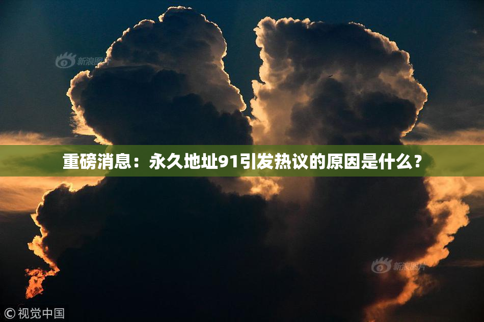 重磅消息：永久地址91引发热议的原因是什么？