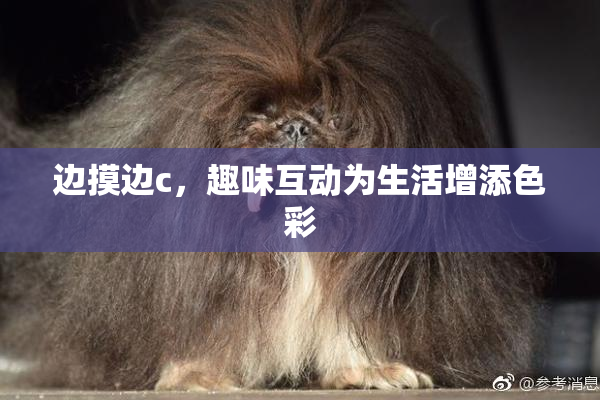 边摸边c，趣味互动为生活增添色彩