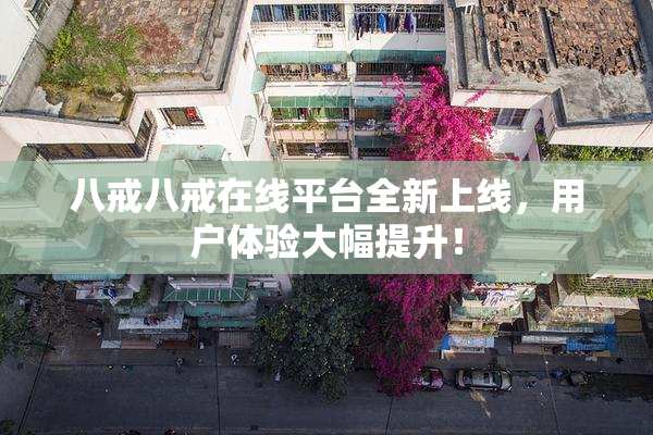 八戒八戒在线平台全新上线，用户体验大幅提升！