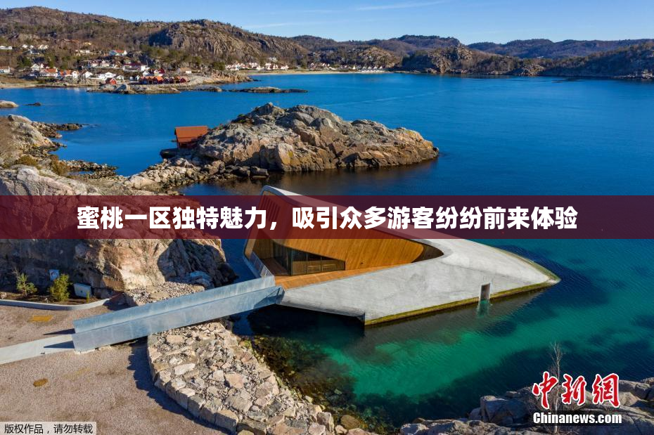 蜜桃一区独特魅力，吸引众多游客纷纷前来体验