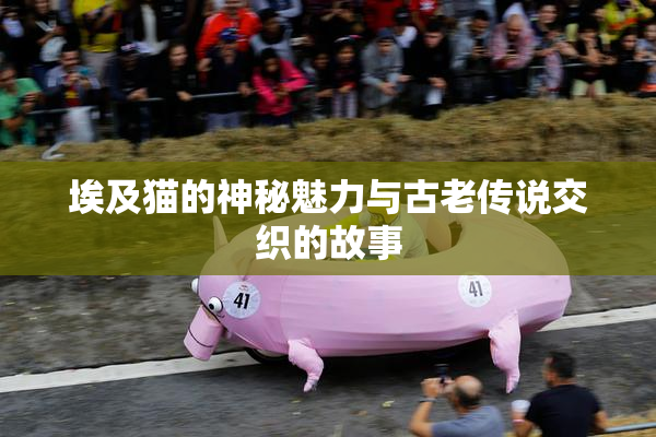 埃及猫的神秘魅力与古老传说交织的故事