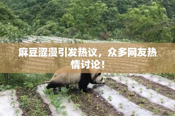 麻豆涩漫引发热议，众多网友热情讨论！