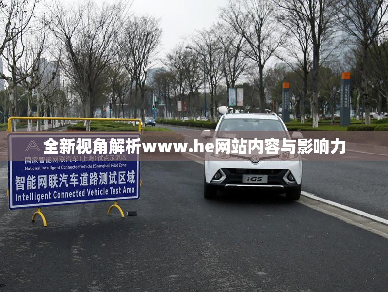 全新视角解析www.he网站内容与影响力