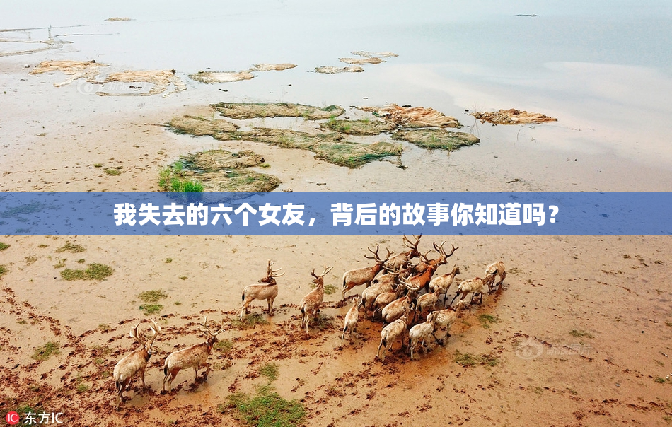我失去的六个女友，背后的故事你知道吗？