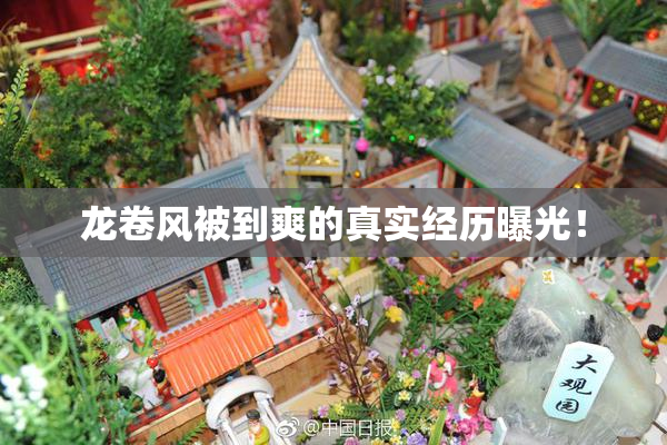 龙卷风被到爽的真实经历曝光！