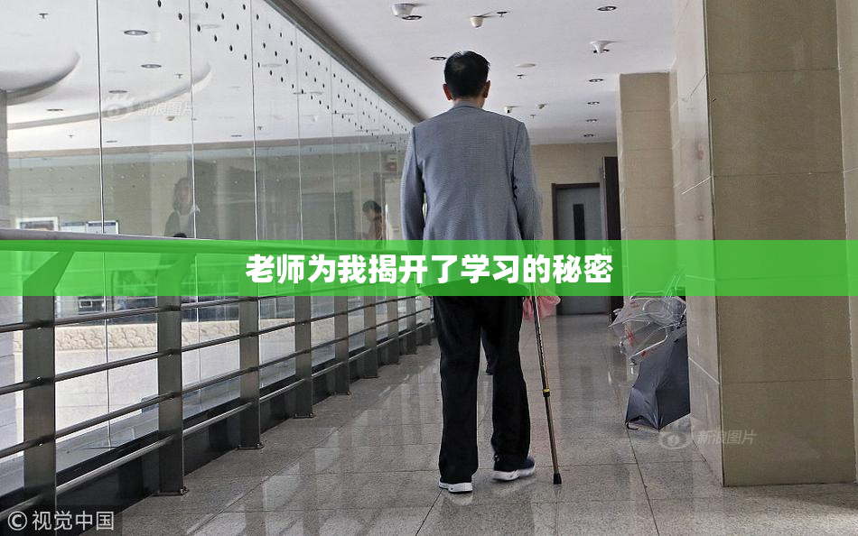 老师为我揭开了学习的秘密