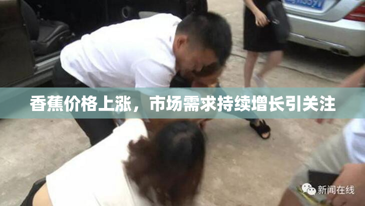 香蕉价格上涨，市场需求持续增长引关注