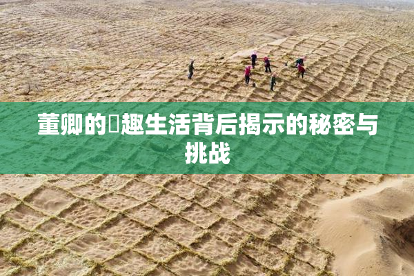 董卿的婬趣生活背后揭示的秘密与挑战