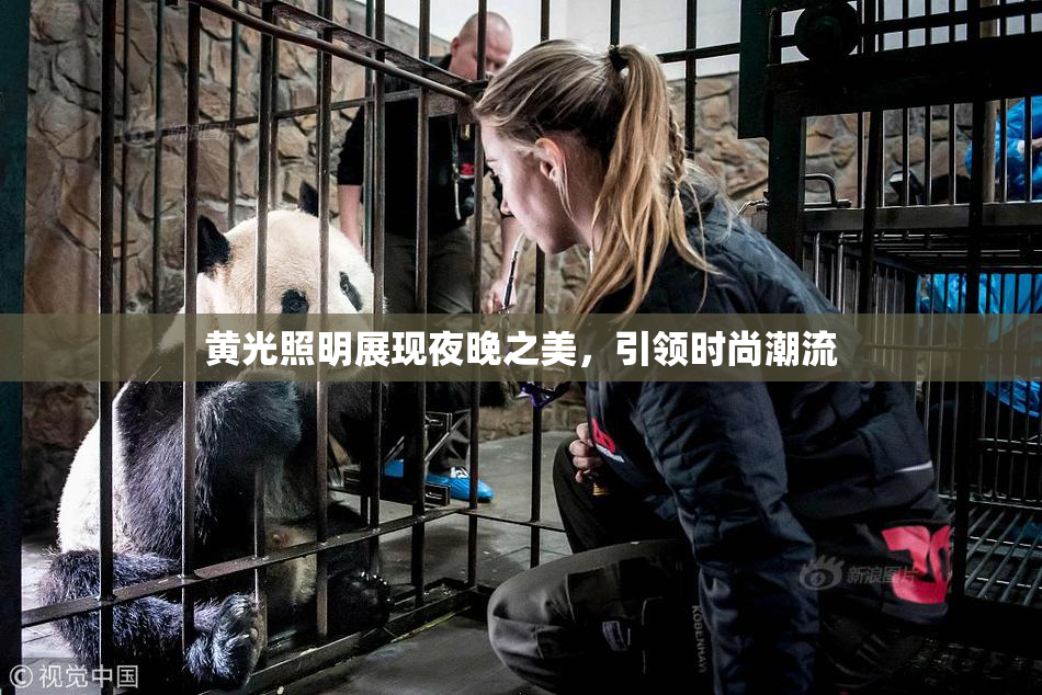 黄光照明展现夜晚之美，引领时尚潮流