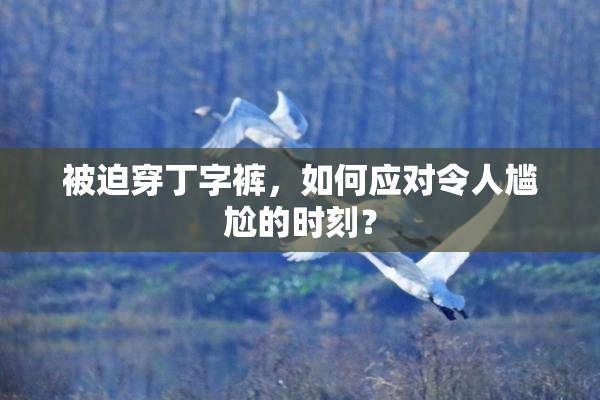 被迫穿丁字裤，如何应对令人尴尬的时刻？