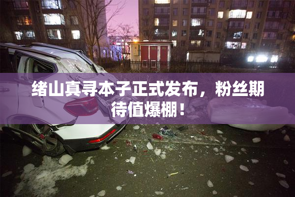 绪山真寻本子正式发布，粉丝期待值爆棚！