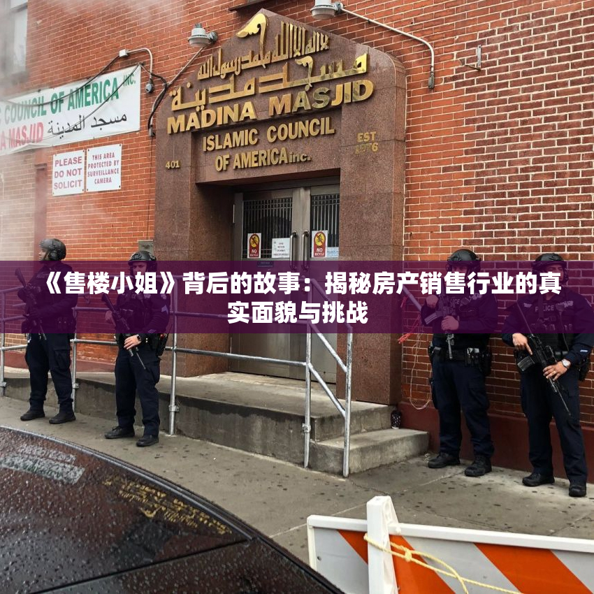 《售楼小姐》背后的故事：揭秘房产销售行业的真实面貌与挑战