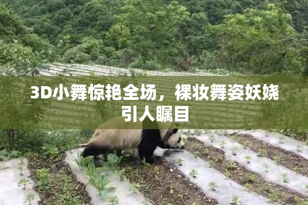 3D小舞惊艳全场，裸妆舞姿妖娆引人瞩目