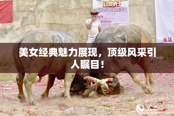 美女经典魅力展现，顶级风采引人瞩目！
