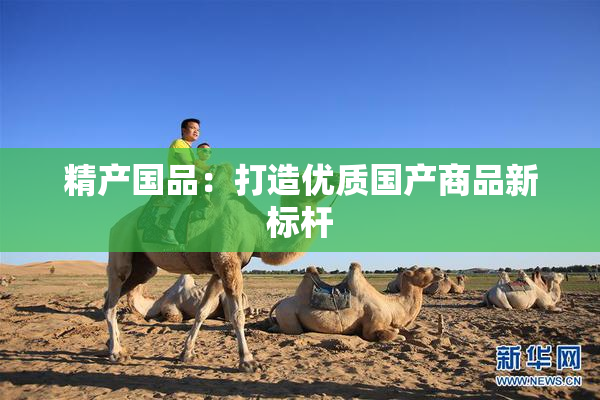 精产国品：打造优质国产商品新标杆