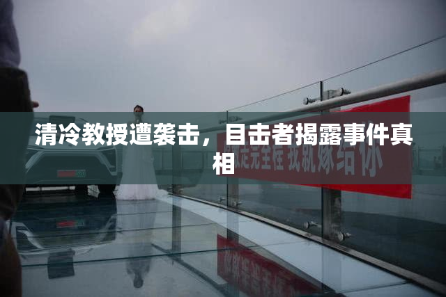 清冷教授遭袭击，目击者揭露事件真相