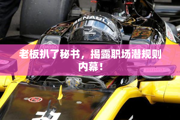 老板扒了秘书，揭露职场潜规则内幕！