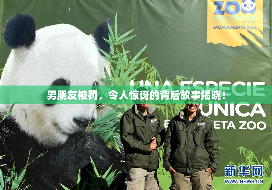 男朋友被罚，令人惊讶的背后故事揭晓！