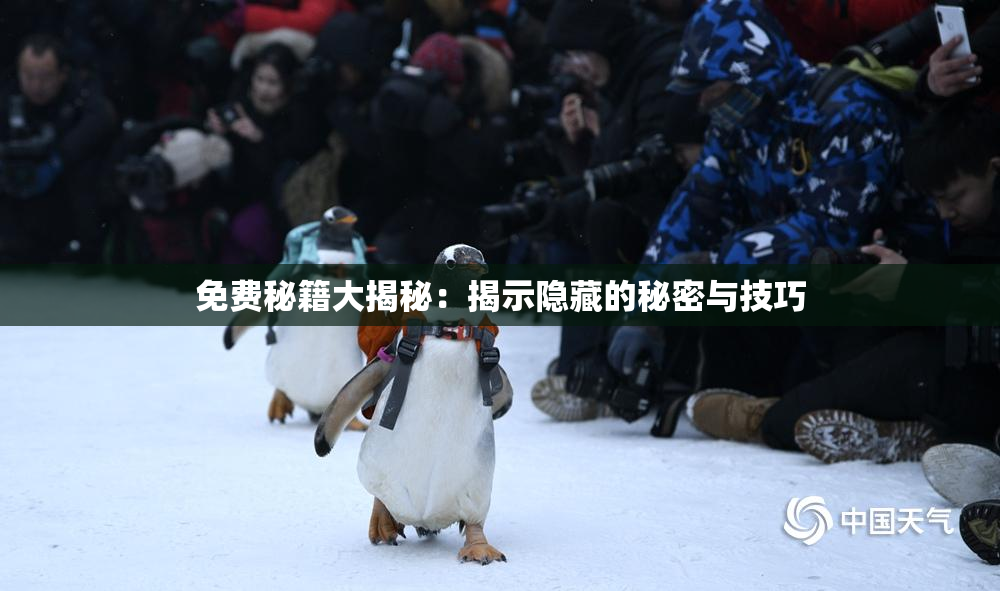 免费秘籍大揭秘：揭示隐藏的秘密与技巧