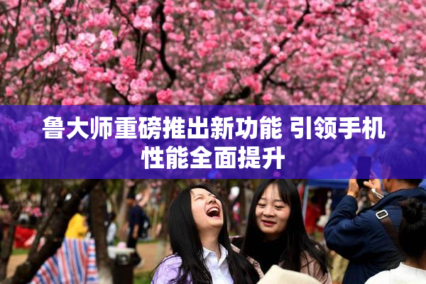 鲁大师重磅推出新功能 引领手机性能全面提升