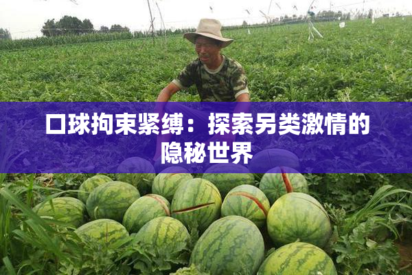 口球拘束紧缚：探索另类激情的隐秘世界