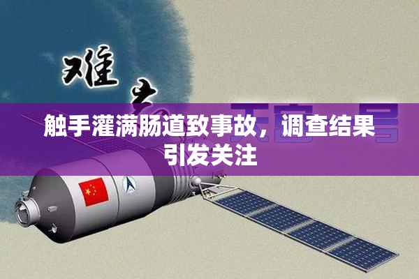 触手灌满肠道致事故，调查结果引发关注