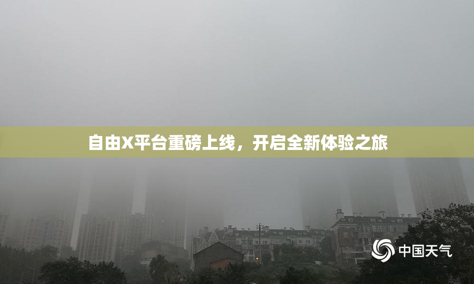 自由X平台重磅上线，开启全新体验之旅