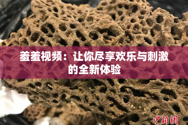羞羞视频：让你尽享欢乐与刺激的全新体验