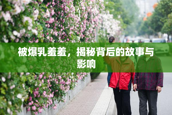 被爆乳羞羞，揭秘背后的故事与影响