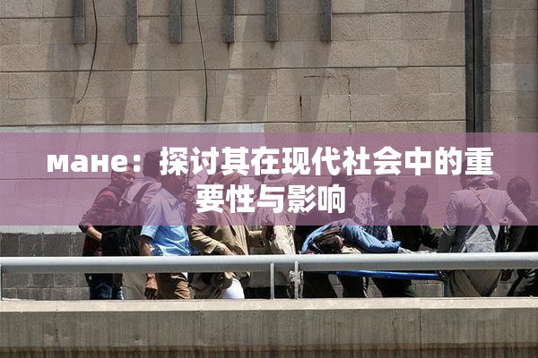 мане：探讨其在现代社会中的重要性与影响