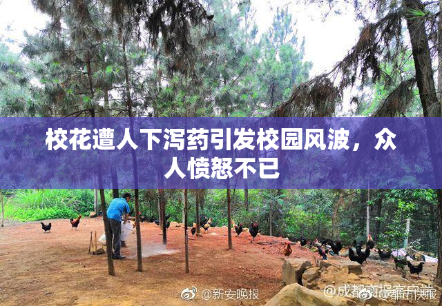 校花遭人下泻药引发校园风波，众人愤怒不已