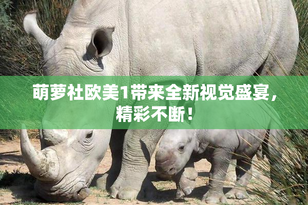 萌萝社欧美1带来全新视觉盛宴，精彩不断！