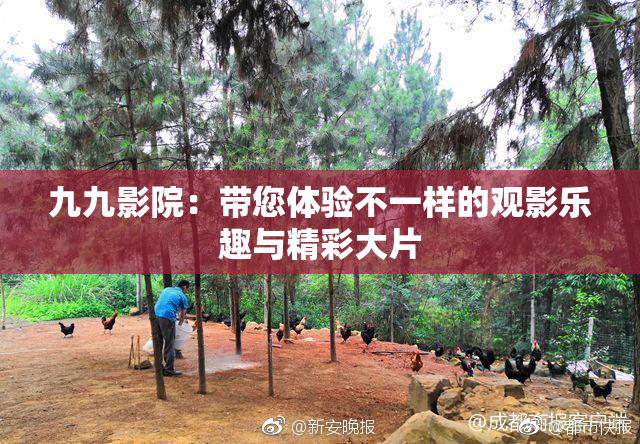 九九影院：带您体验不一样的观影乐趣与精彩大片