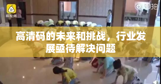 高清码的未来和挑战，行业发展亟待解决问题