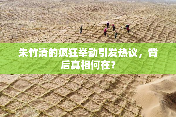 朱竹清的疯狂举动引发热议，背后真相何在？