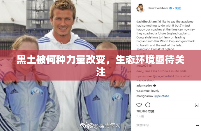 黑土被何种力量改变，生态环境亟待关注