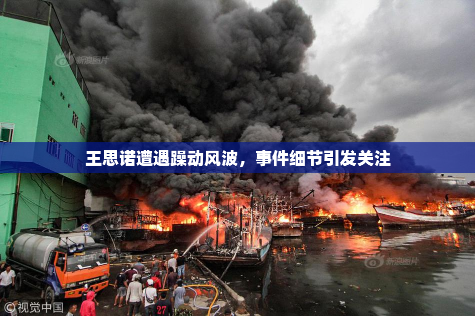 王思诺遭遇躁动风波，事件细节引发关注