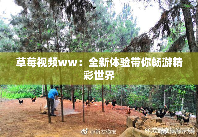 草莓视频ww：全新体验带你畅游精彩世界