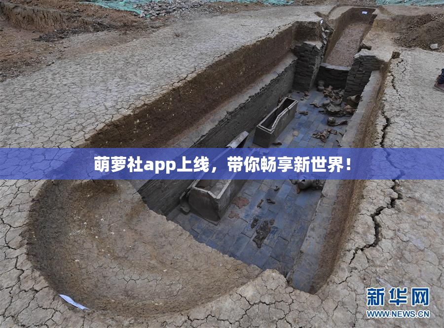 萌萝社app上线，带你畅享新世界！