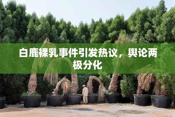 白鹿裸乳事件引发热议，舆论两极分化