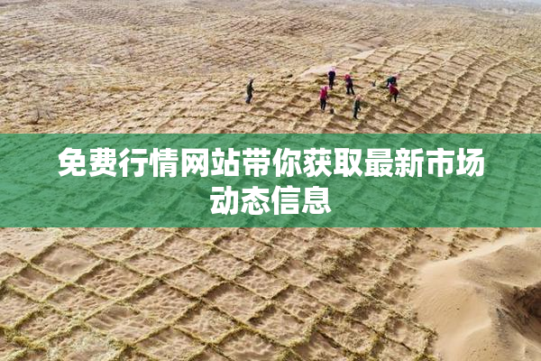 免费行情网站带你获取最新市场动态信息