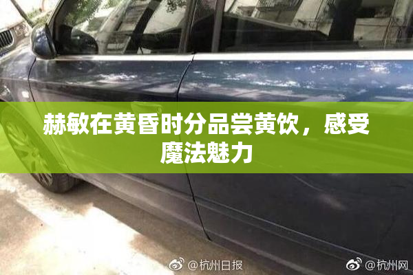 赫敏在黄昏时分品尝黄饮，感受魔法魅力