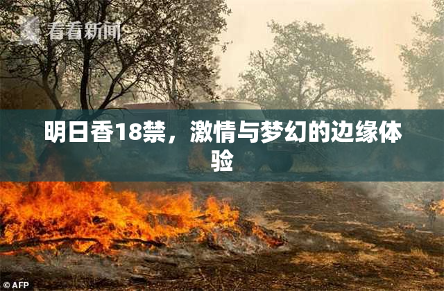 明日香18禁，激情与梦幻的边缘体验