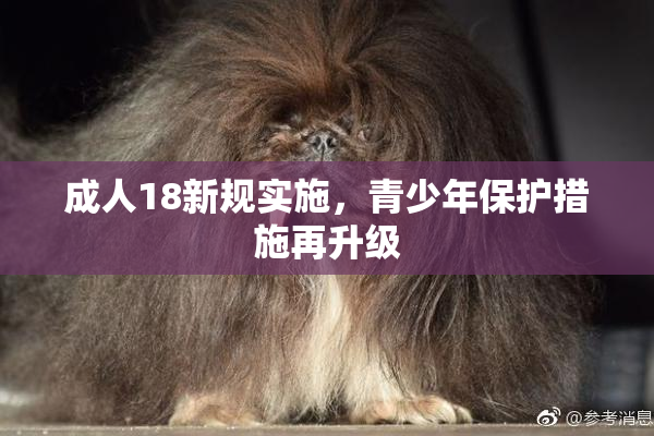 成人18新规实施，青少年保护措施再升级