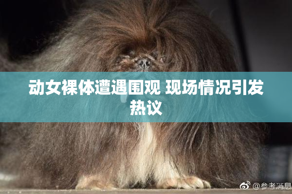 动女裸体遭遇围观 现场情况引发热议