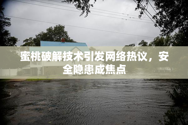 蜜桃破解技术引发网络热议，安全隐患成焦点