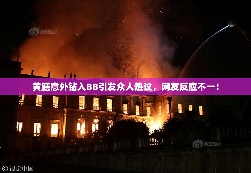 黄鳝意外钻入BB引发众人热议，网友反应不一！