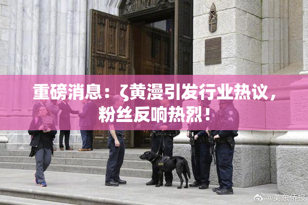 重磅消息：ζ黄漫引发行业热议，粉丝反响热烈！