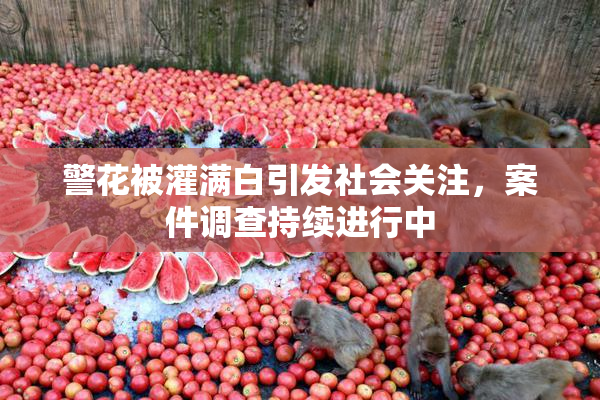 警花被灌满白引发社会关注，案件调查持续进行中